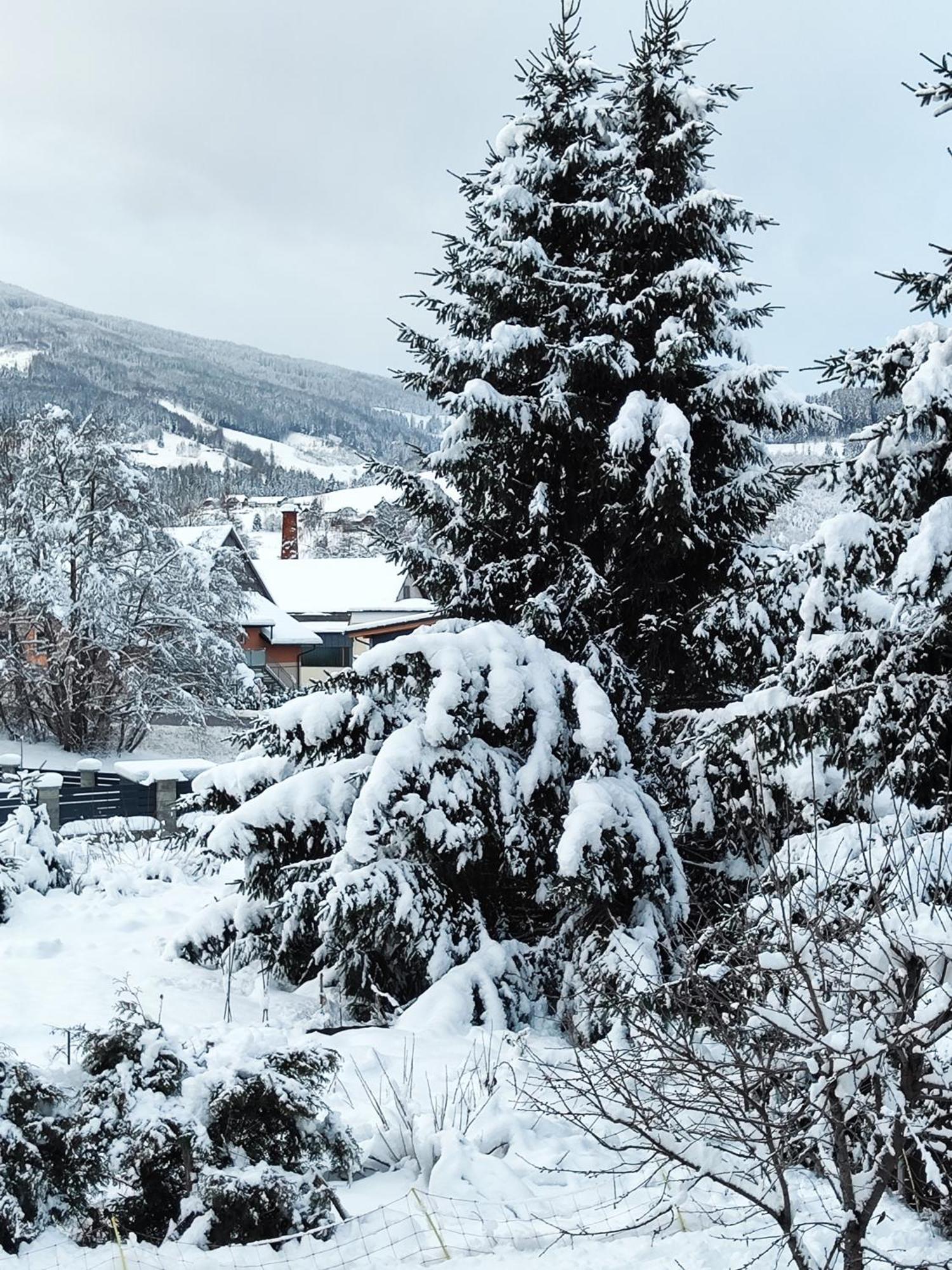 Amtmannhaus Ferienunterkunft Irdning Bagian luar foto